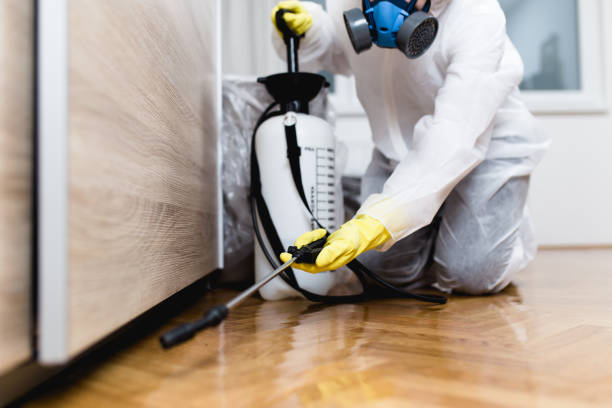 Best Best Pest Control Companies  in Crystal City, TX