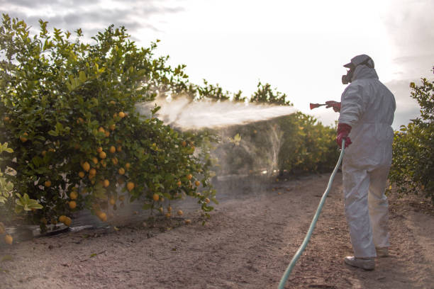 Best Residential Pest Control  in Crystal City, TX
