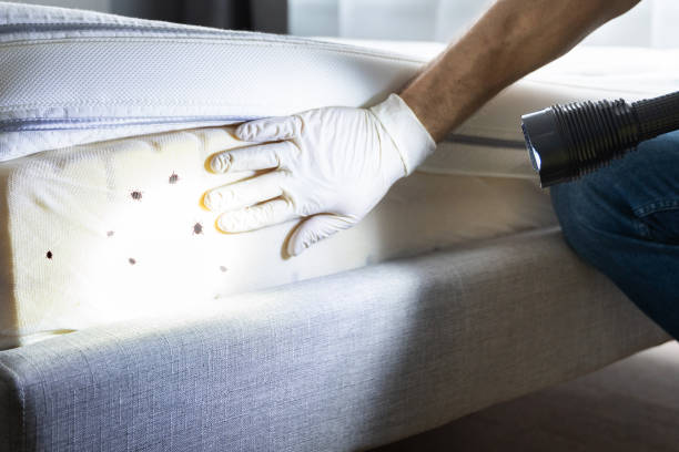 Best Residential Pest Control  in Crystal City, TX