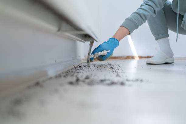 Trusted Crystal City, TX Pest Control Experts